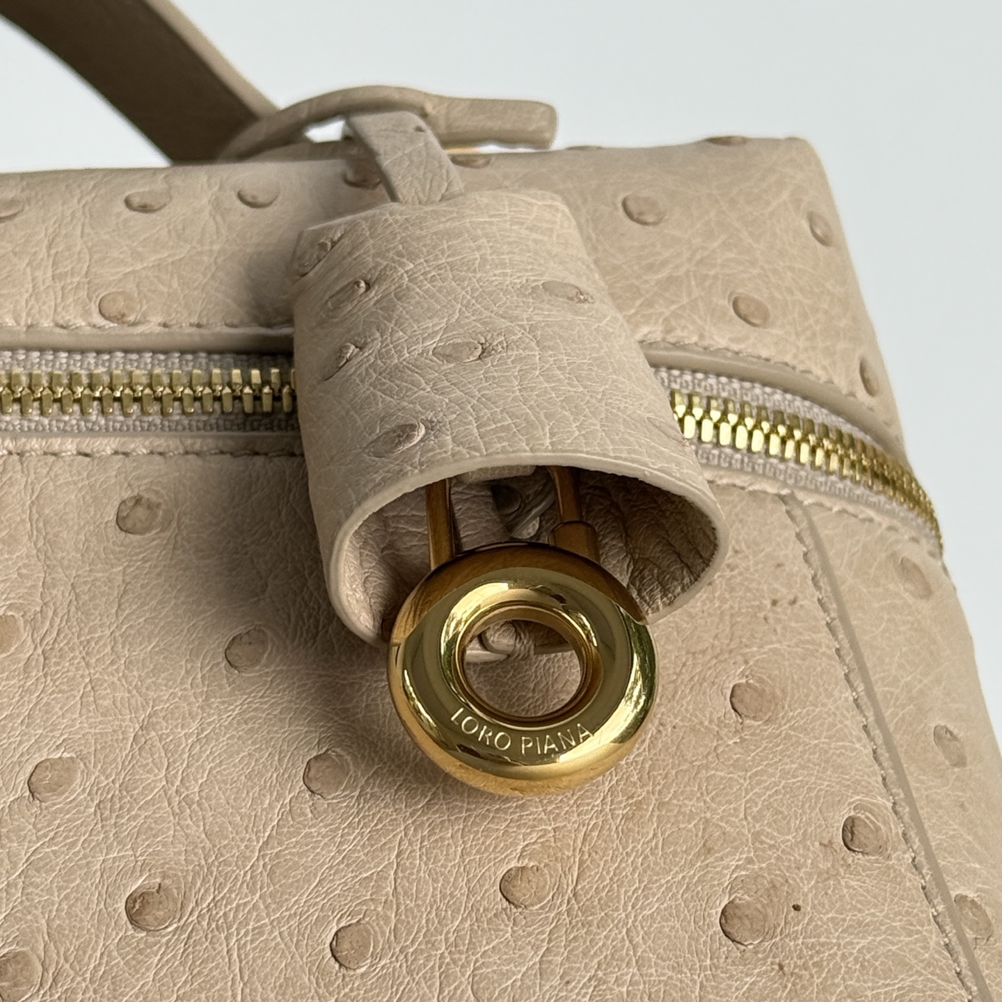 로로피아나 155346 가방 Loro Piana Bag 상세 이미지 8