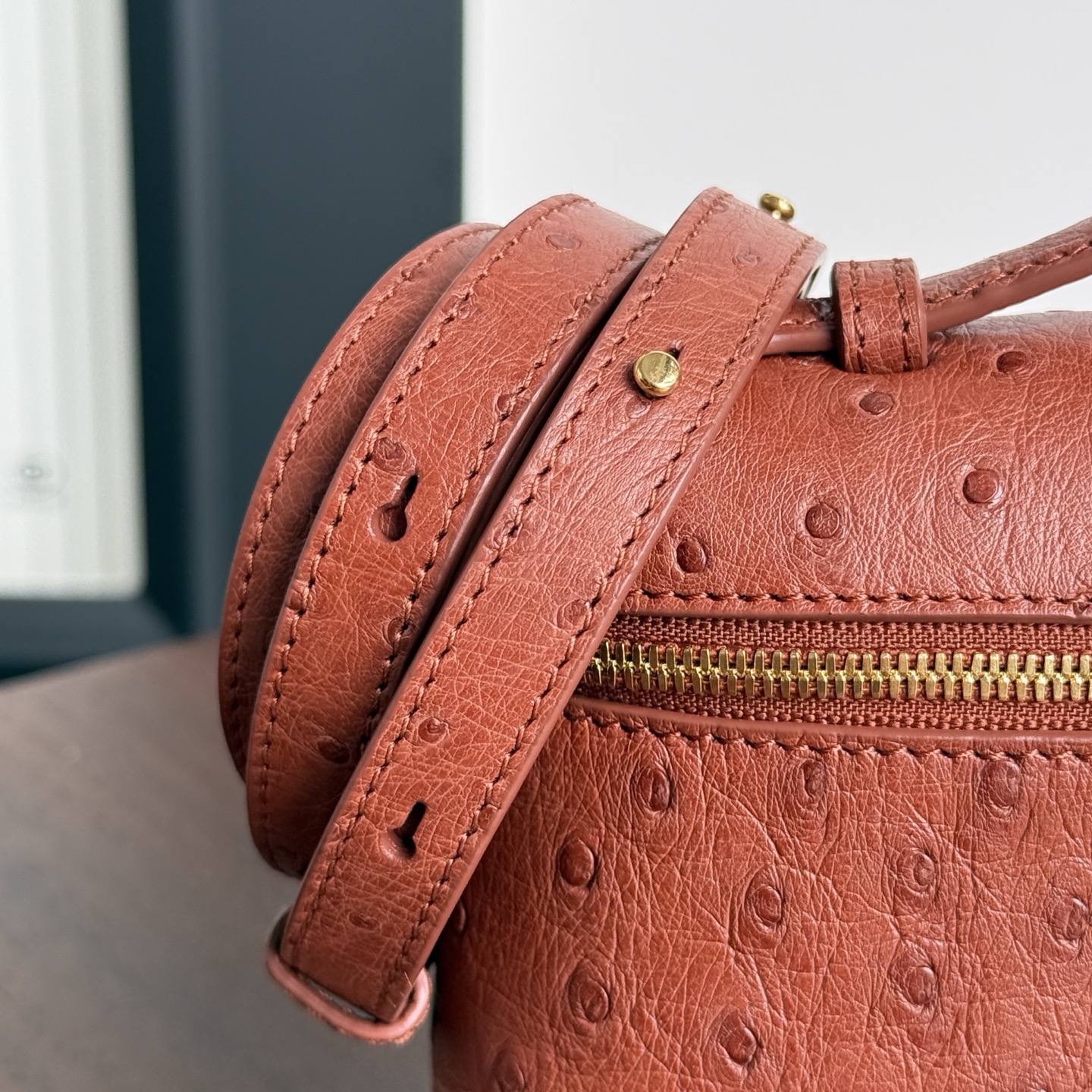 로로피아나 155338 가방 Loro Piana Bag 상세 이미지 6