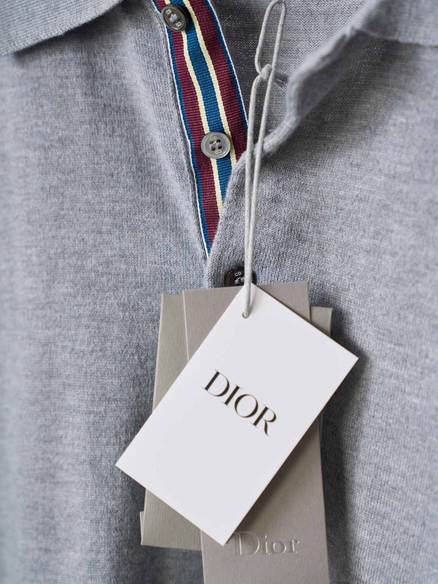 Dior 字母刺绣标识针织短袖POLO衫