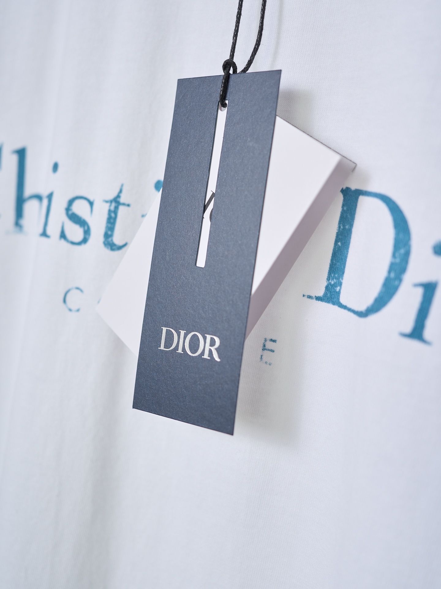 Dior 模糊 印花标识圆领短袖T恤