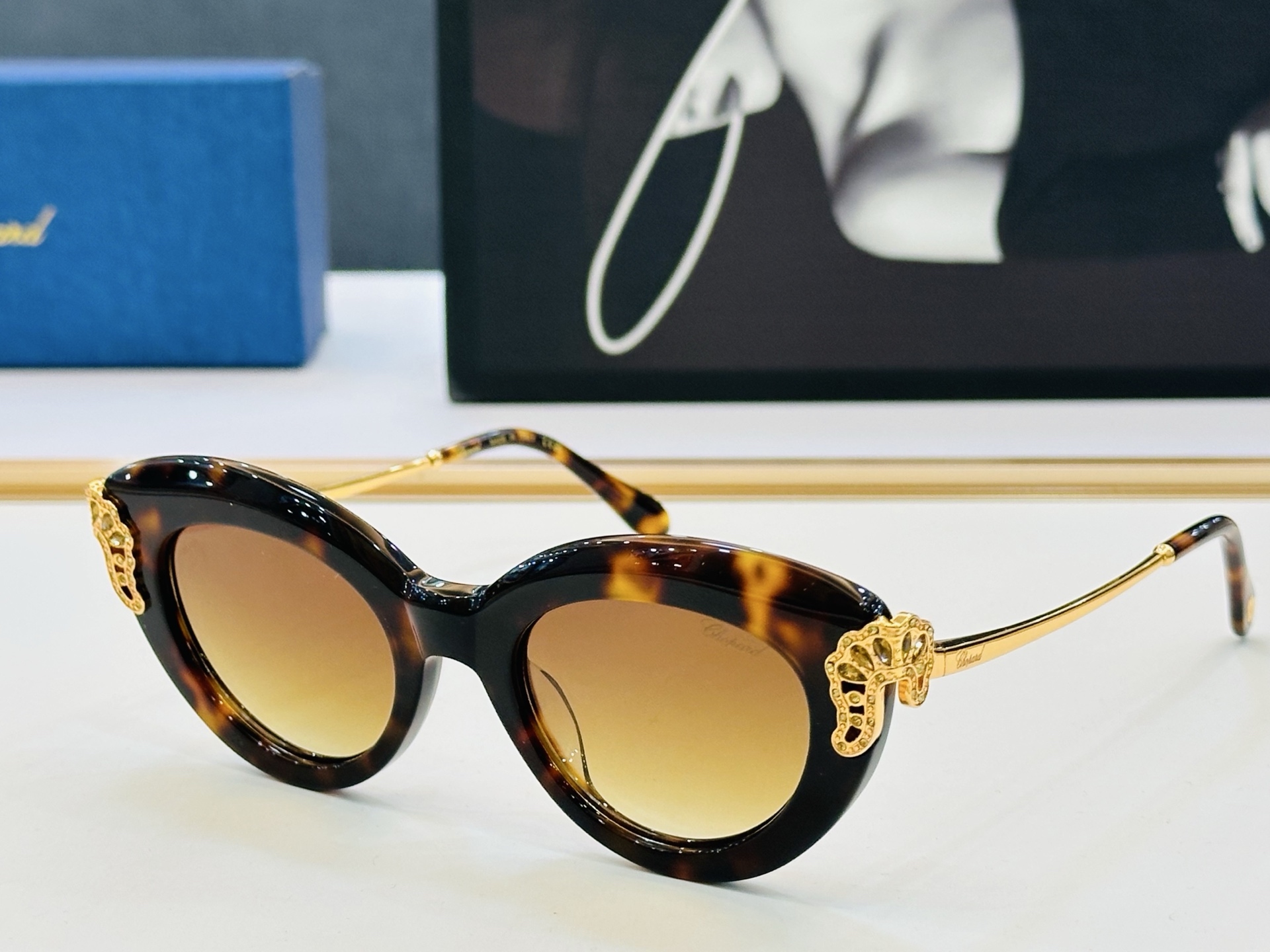 肖邦 🎩 SCHG991 Size：48口21-145 充满活力的 展现独特个性🌟展现大气的你 K高品质