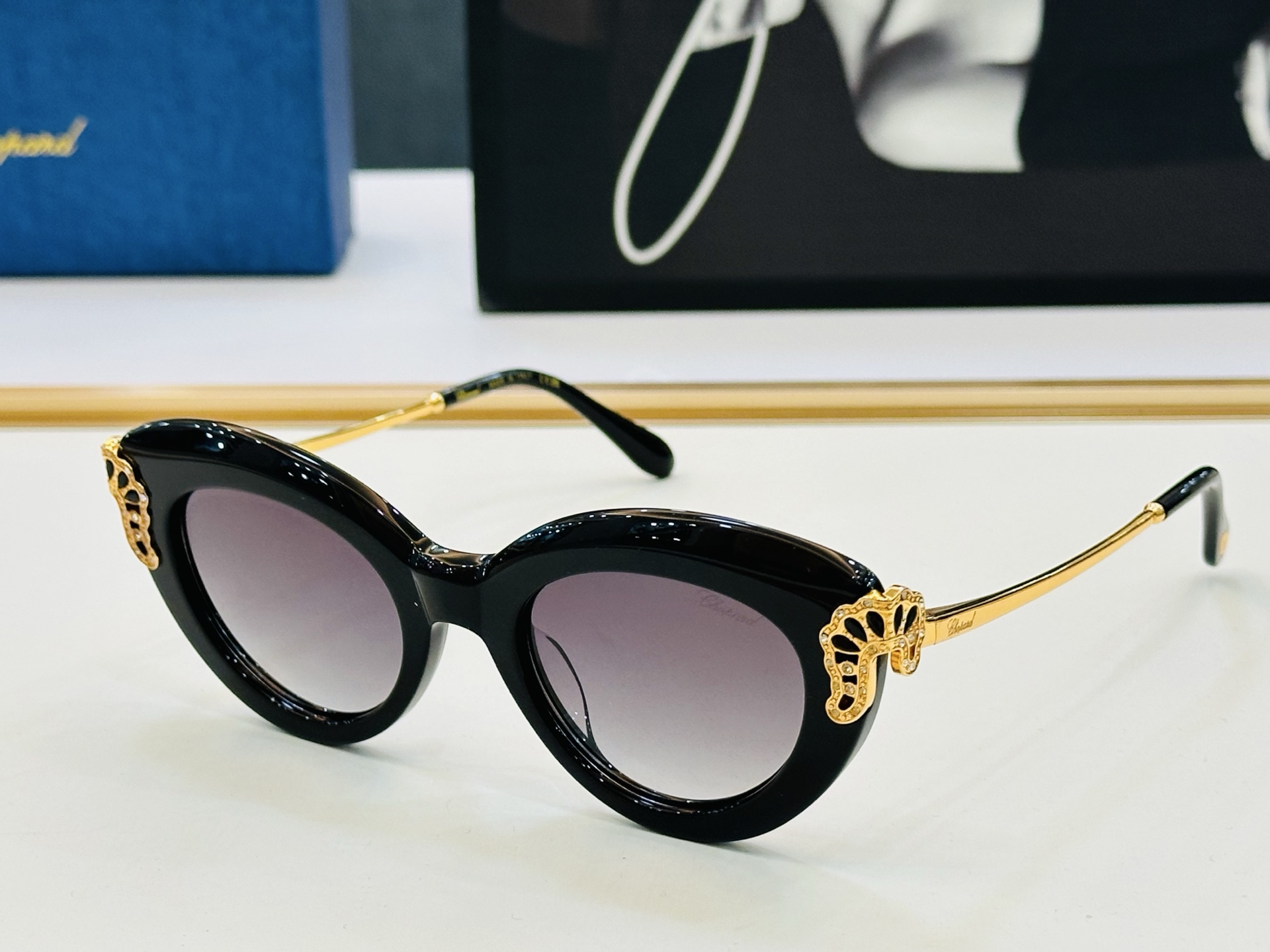 肖邦 🎩 SCHG991 Size：48口21-145 充满活力的 展现独特个性🌟展现大气的你 K高品质