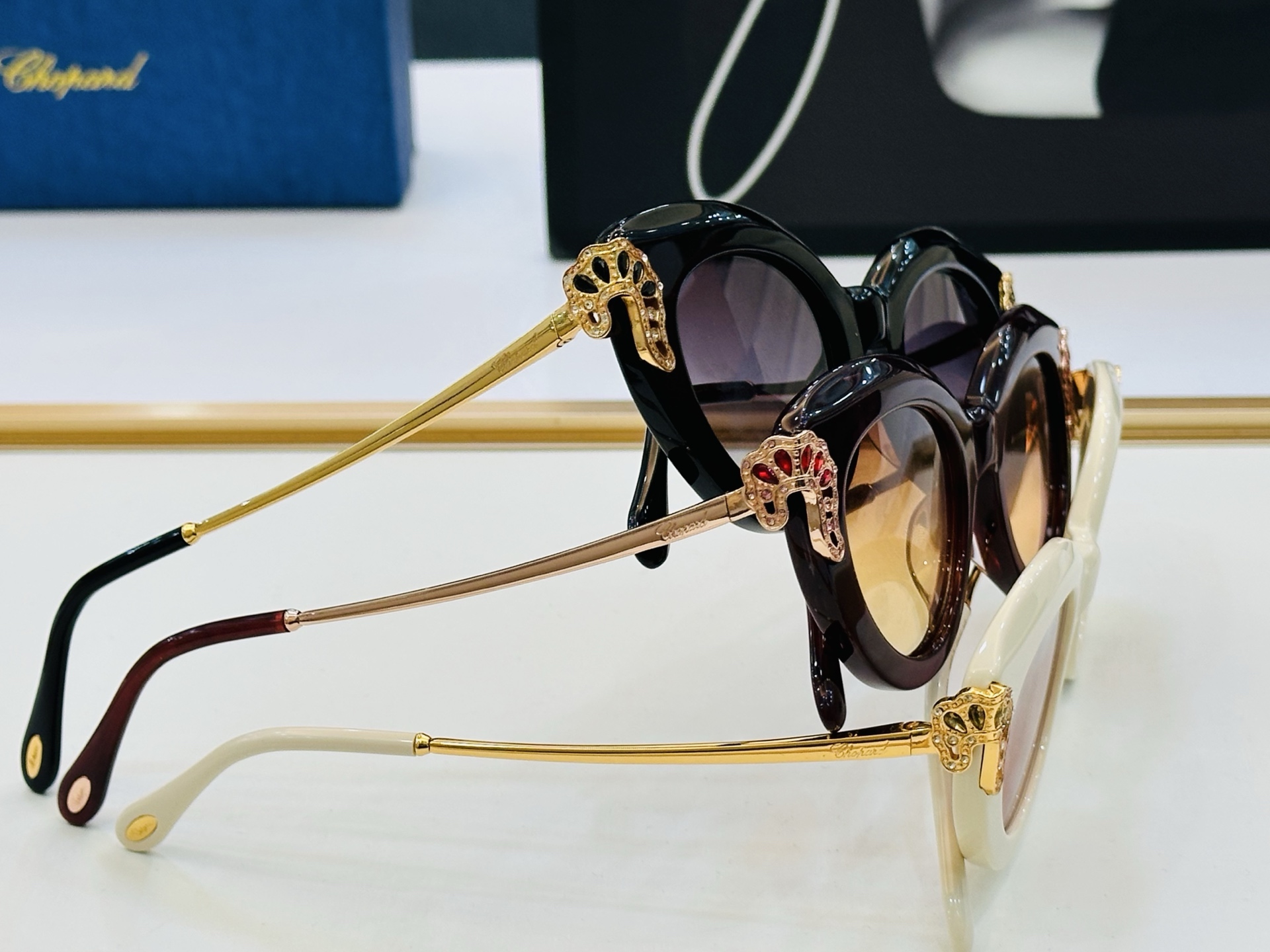 肖邦 🎩 SCHG991 Size：48口21-145 充满活力的 展现独特个性🌟展现大气的你 K高品质