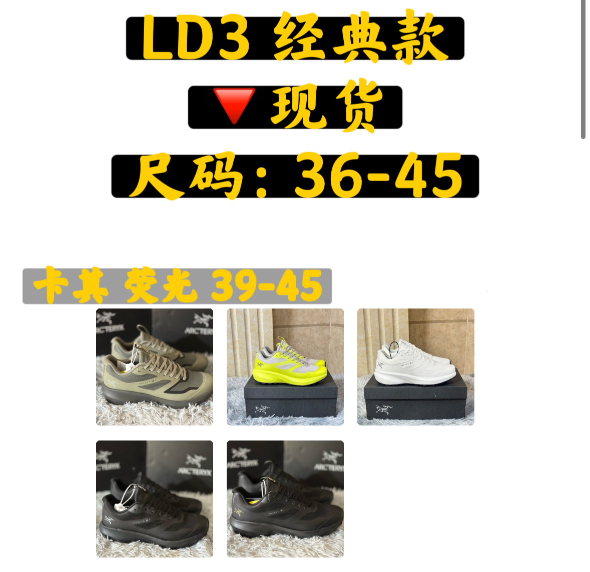 아크테릭스 신발 102632 Arc'teryx Shoes