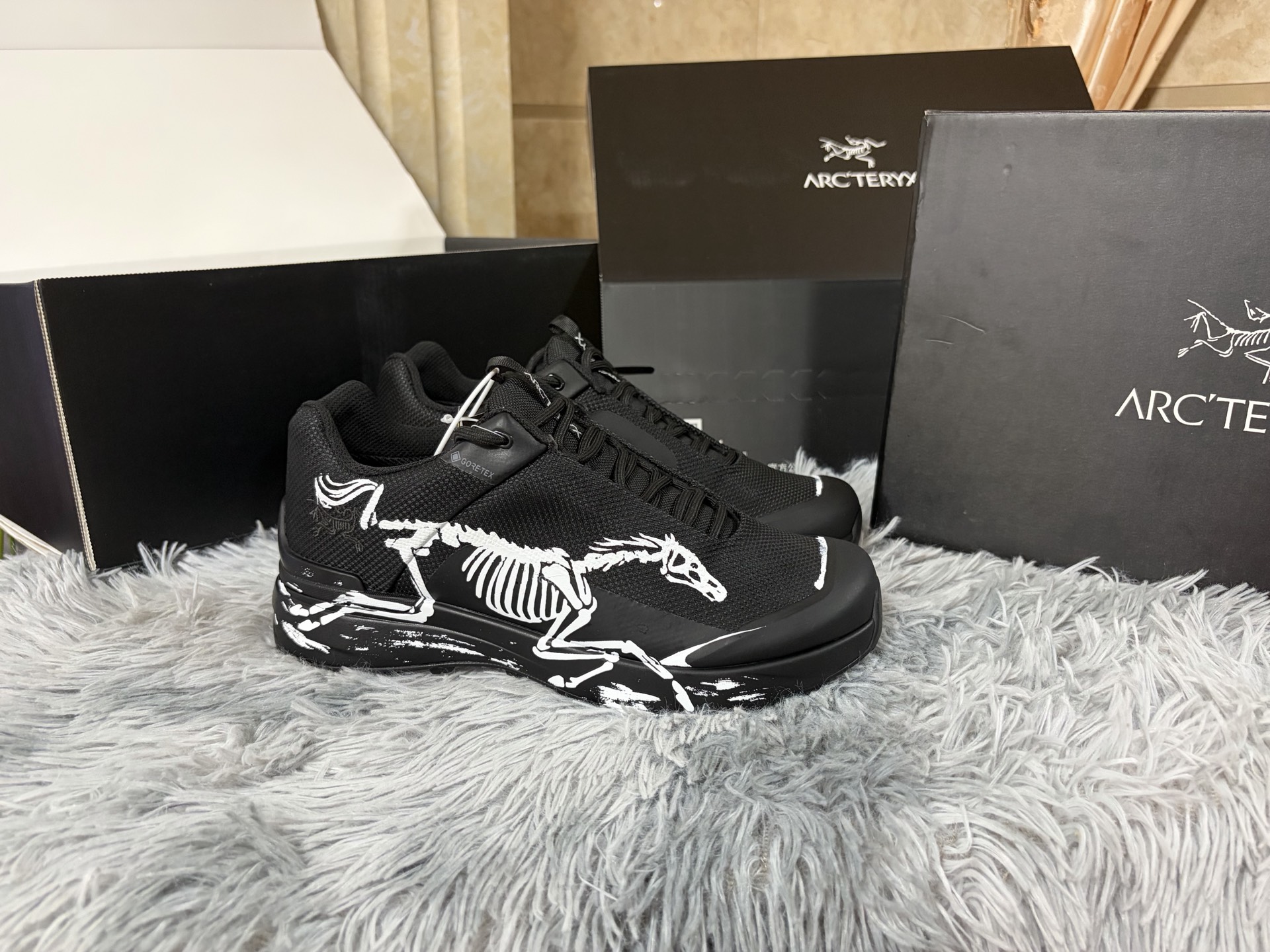 아크테릭스 신발 102700 Arc'teryx Shoes
