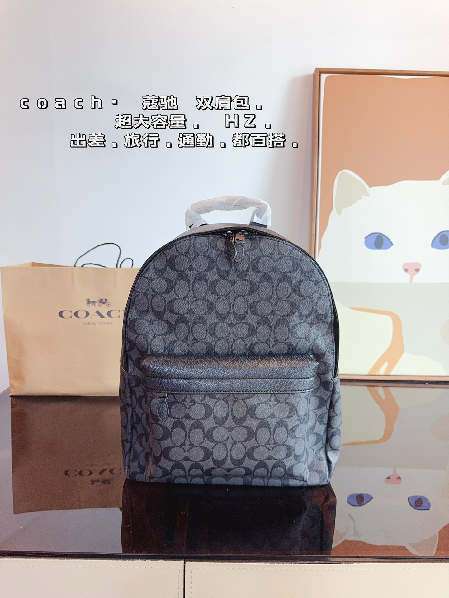 Coach Taschen Rucksack Männer Fashion