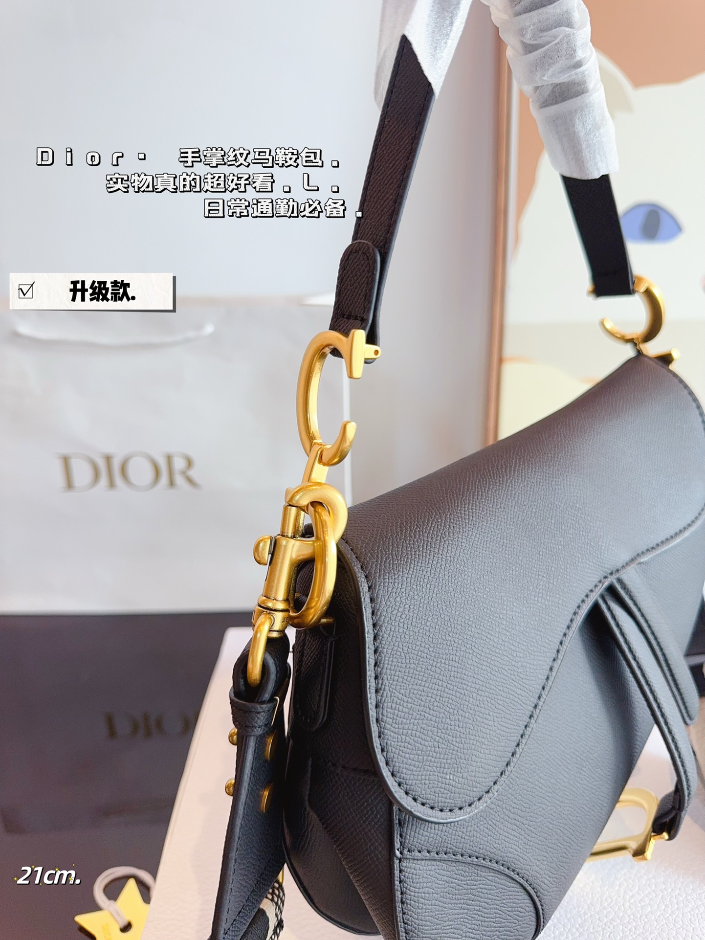 D家 新款马鞍包 7