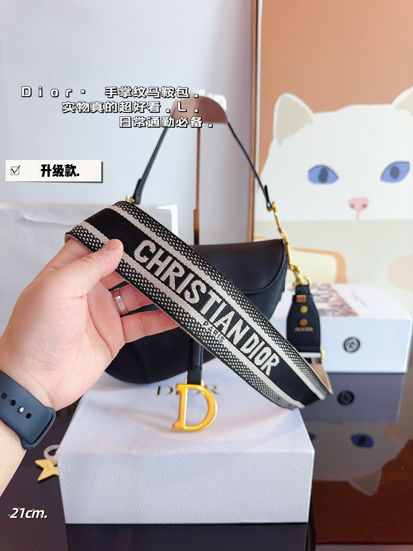 D家 新款马鞍包 3