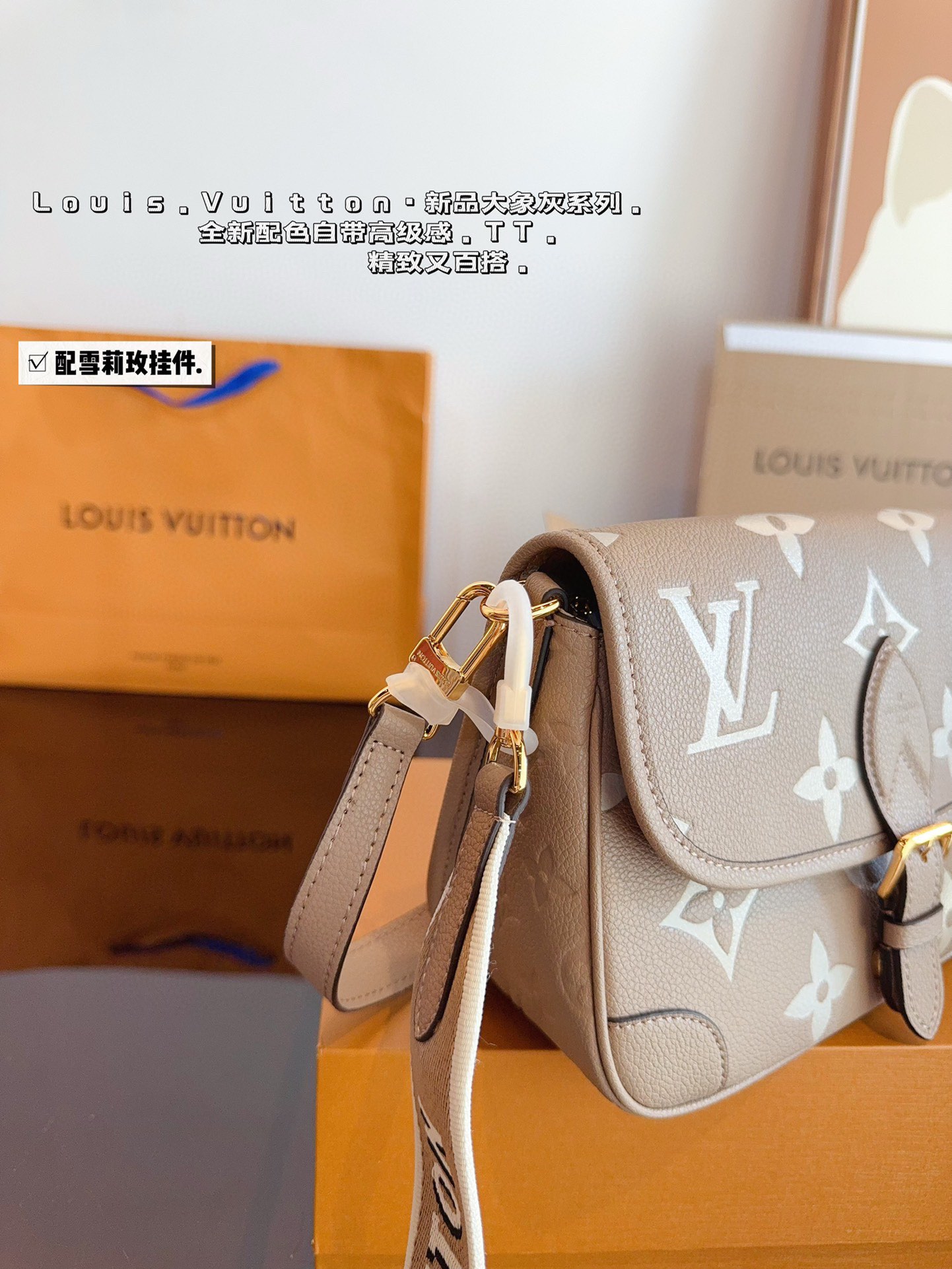 L家 Diane Baguette Bag: Stylish & Versatile Shoulder Bag with Two Straps 8 i1738999724 4260 3