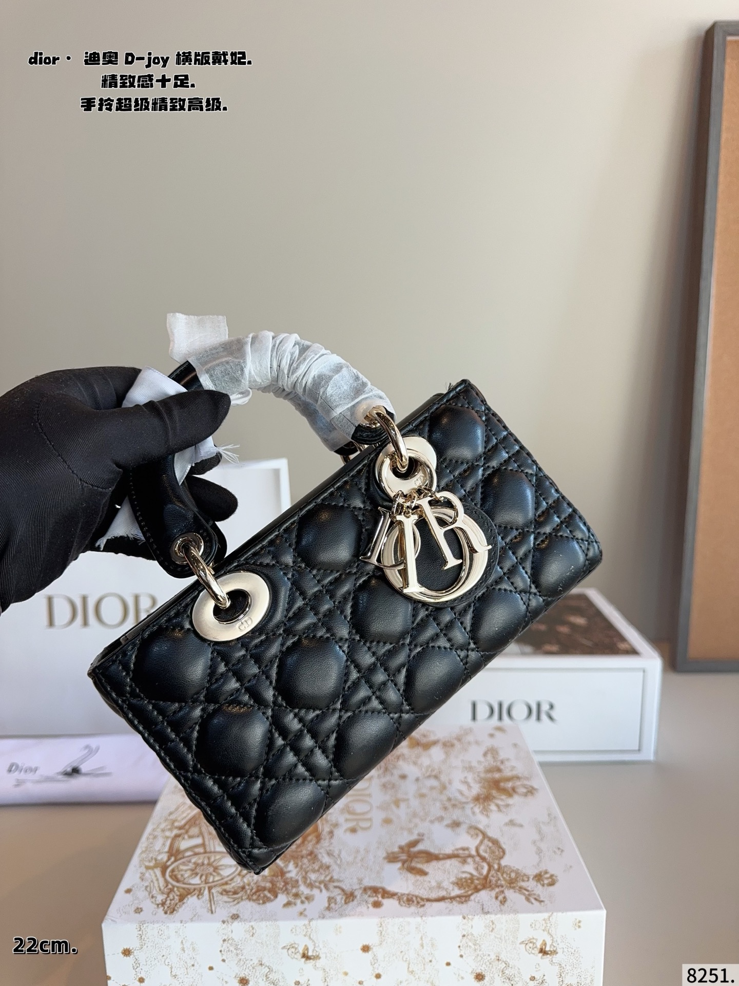 P308 With Gift Box . | Dior Lady D-joy Horizontal Version Of The Princess Diana Bag | Lady D-joy Inherits The Classic Dijia Style, Reshapes The Classics With Architectural Lines And Proportions, Showing Endless Poetry And Noble Elegance | The Horizontal Version Is More Unique And Fashionable All The Major Celebrities And Bloggers Have Taken Advantage Of It | With Two Shoulder Straps, One Long And One Short, It Can Be Carried, Cross-body Or Under The Armpit. The Capacity Is Also Quite Large. It Can Be Said To Be The Greatest Combination Of Elegance And Practicality. The Daily Versatile Style Is Completely Stable. Size: 22 6 12cm