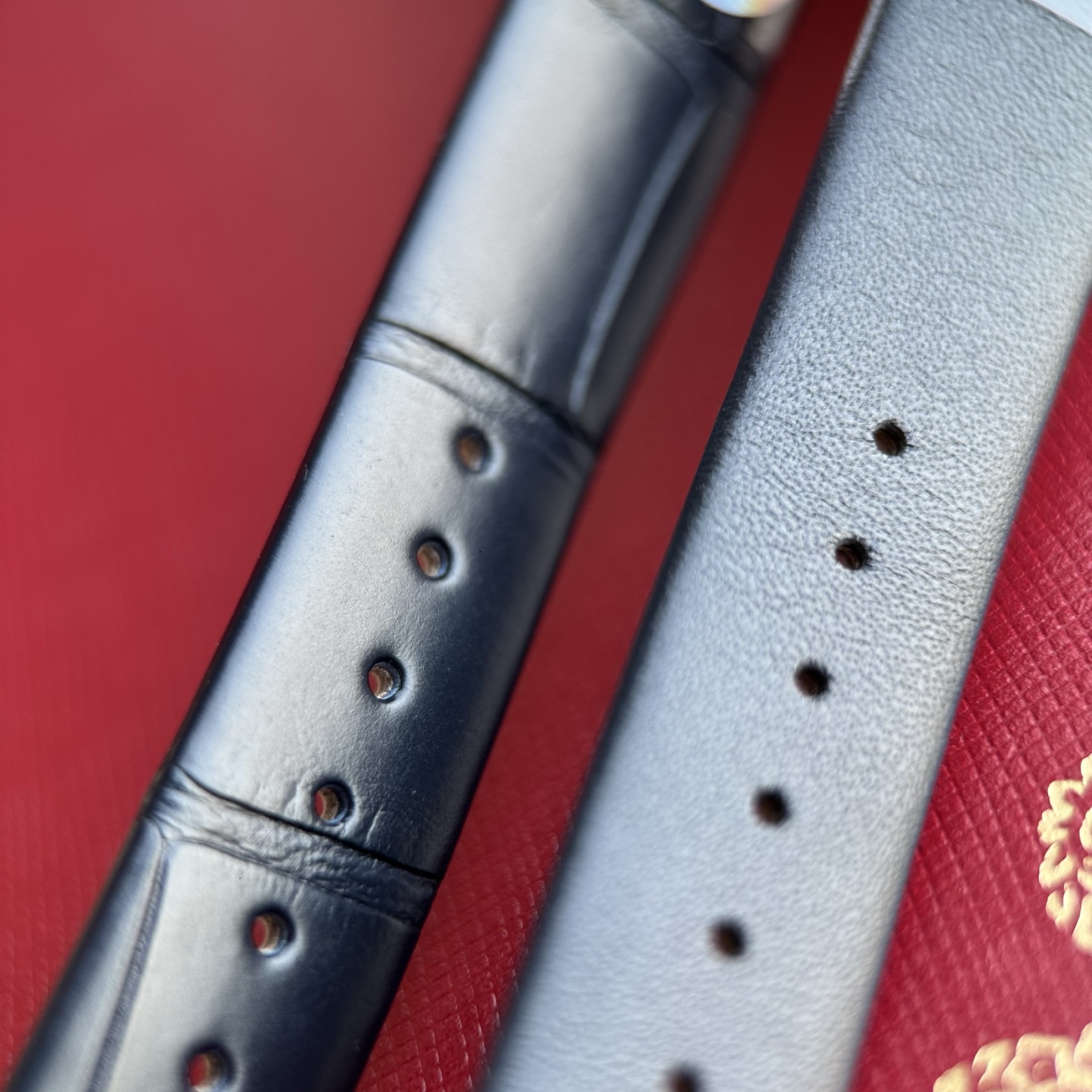 Due opzioni di pelle: Alligatore Americano 🆚 Pelle di Vilo Italiana