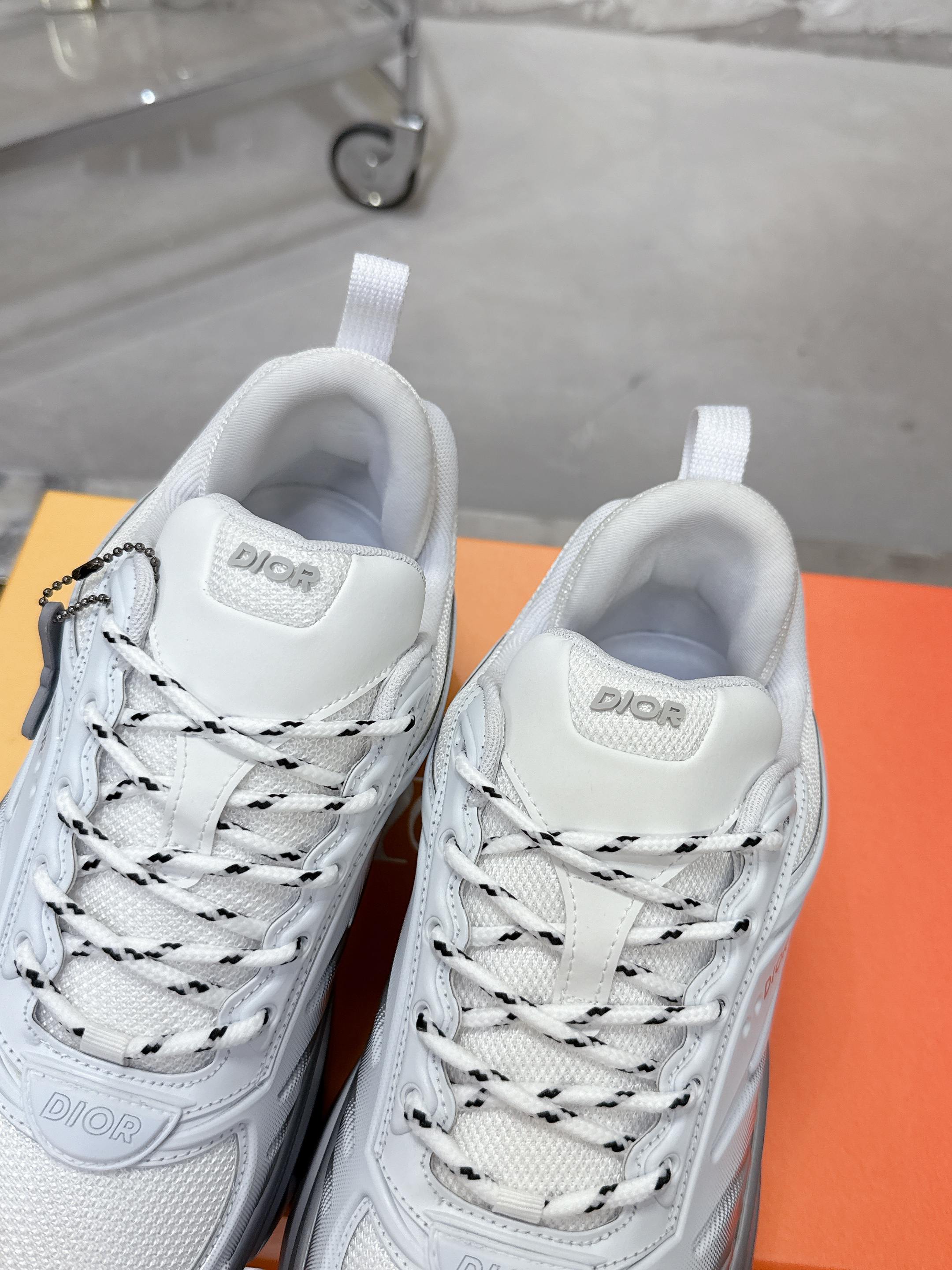 Dior x Lewis Hamilton B44 Blade 限定版 スニーカー