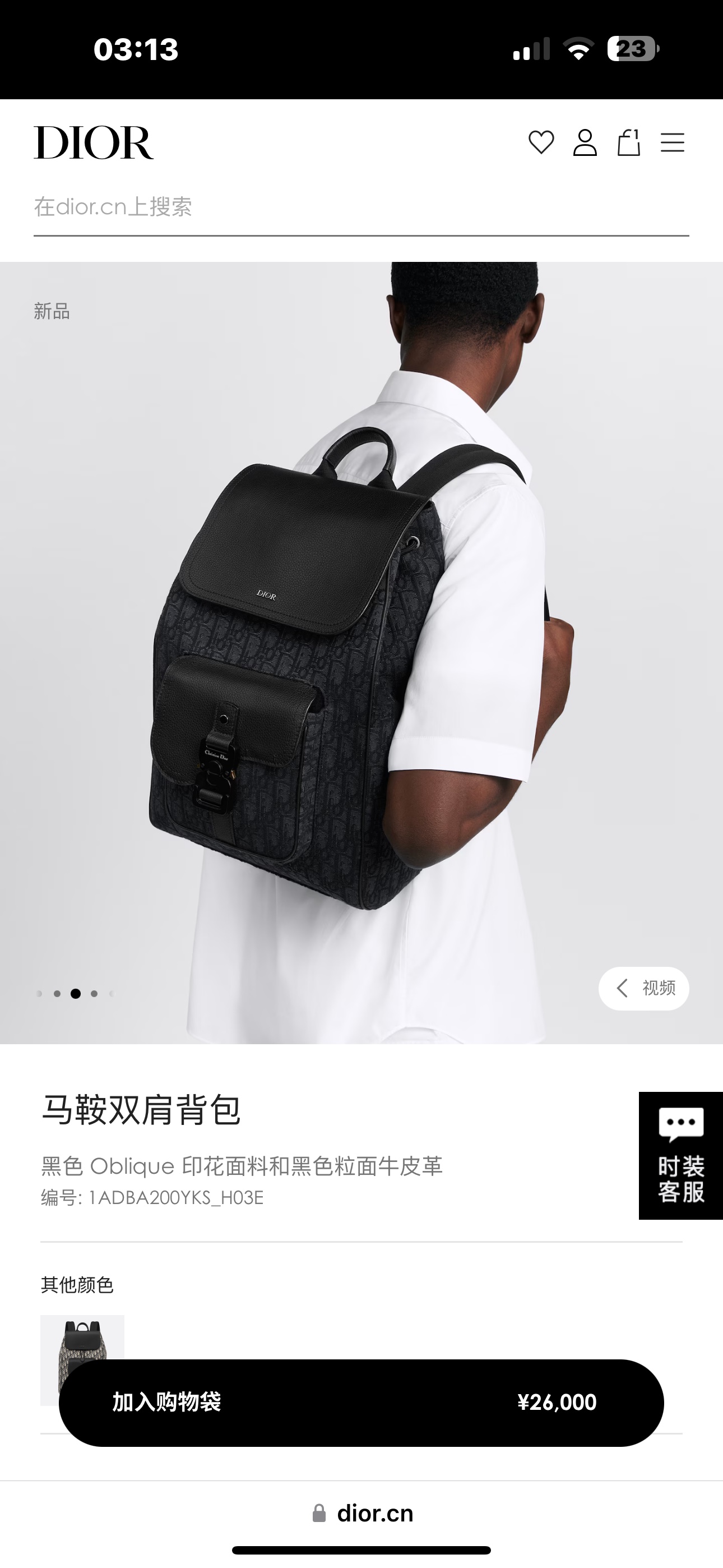Dior Style Black Leather Backpack Bags detail image 6 from source 776419