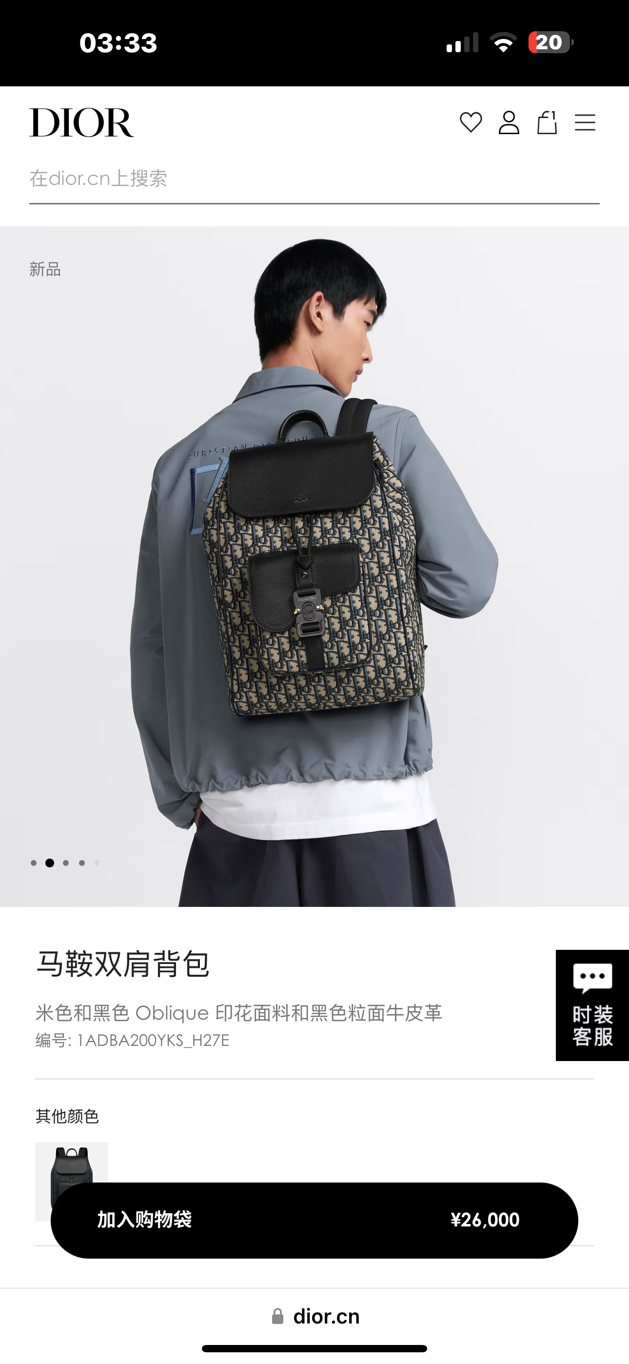 Dior Style Black Leather Backpack Bags detail image 8 from source 776417
