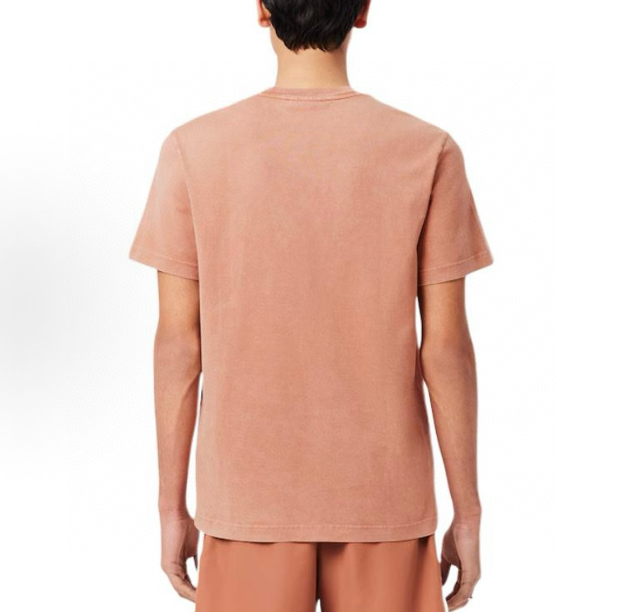 Lacoste Men's Vintage Crew Neck T-Shirt, Short Sleeve Cotton Tee 5 i1750909957235 8190 0 3