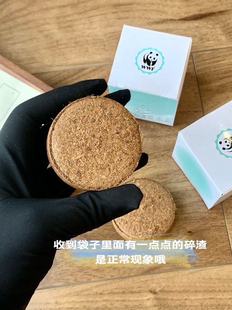 谁说它只是一个美丽花瓶 3