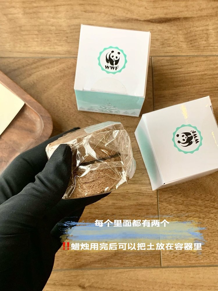 谁说它只是一个美丽花瓶 4