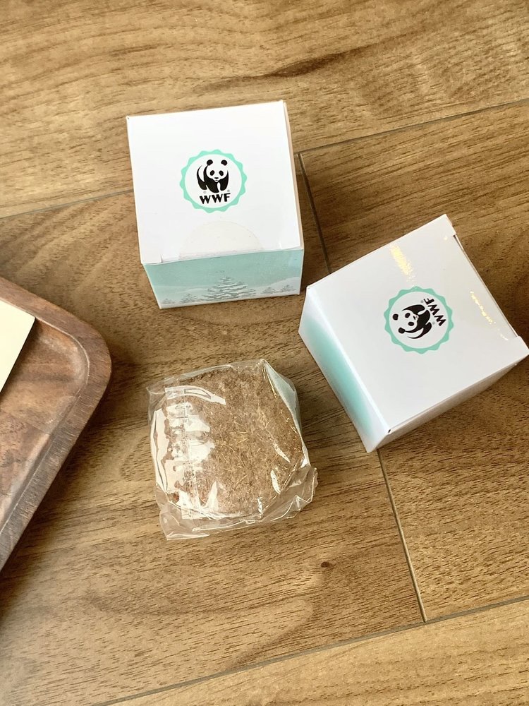 谁说它只是一个美丽花瓶 6