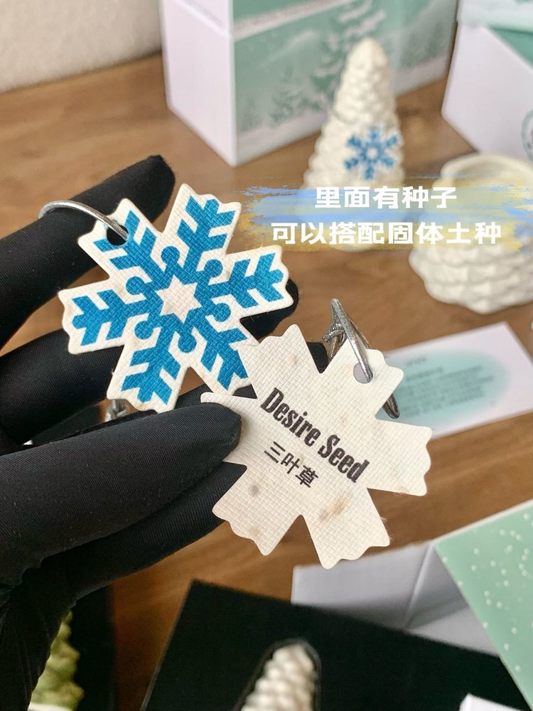 谁说它只是一个美丽花瓶 2