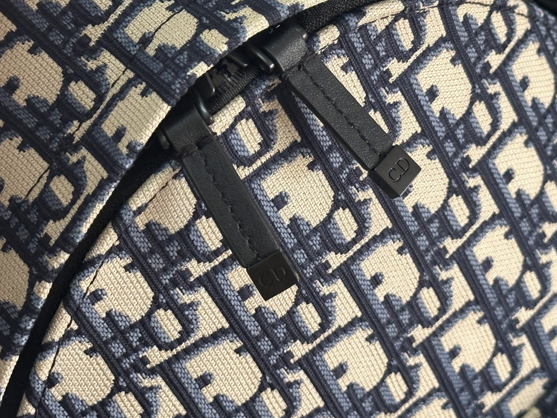 Dior Travel Mini Backpack, Canvas, Logo, Chic & Functional, 21.5*13*31.5cm 7 i1758609992537 2289 0 5