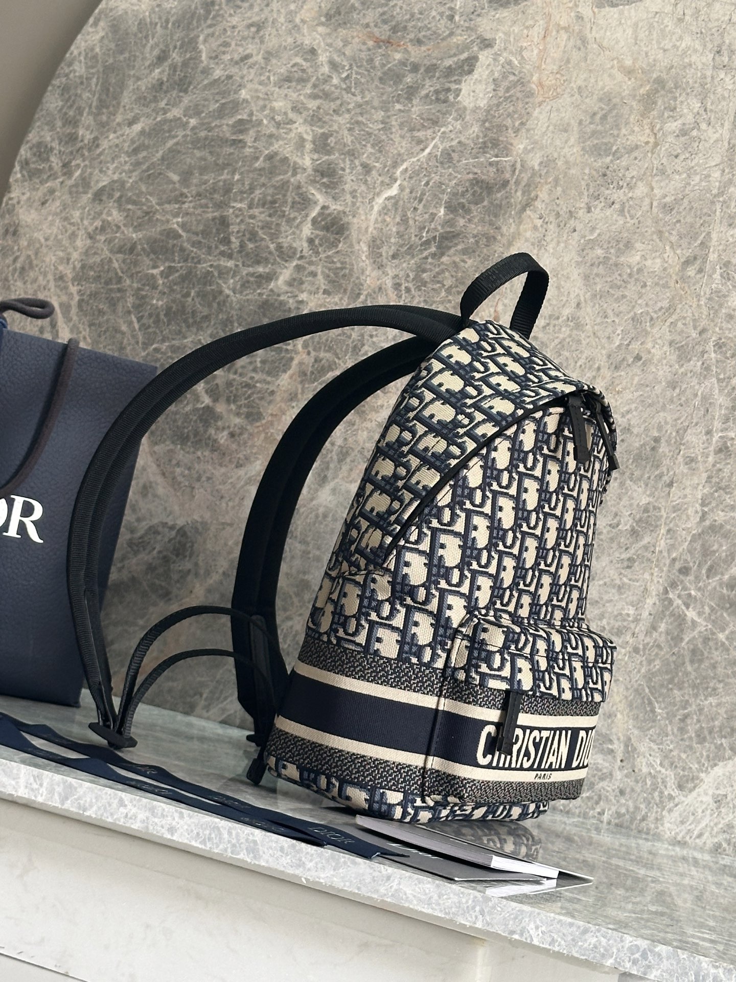Dior Travel Mini Backpack, Canvas, Logo, Chic & Functional, 21.5*13*31.5cm 3 i1758609992537 4099 0 1