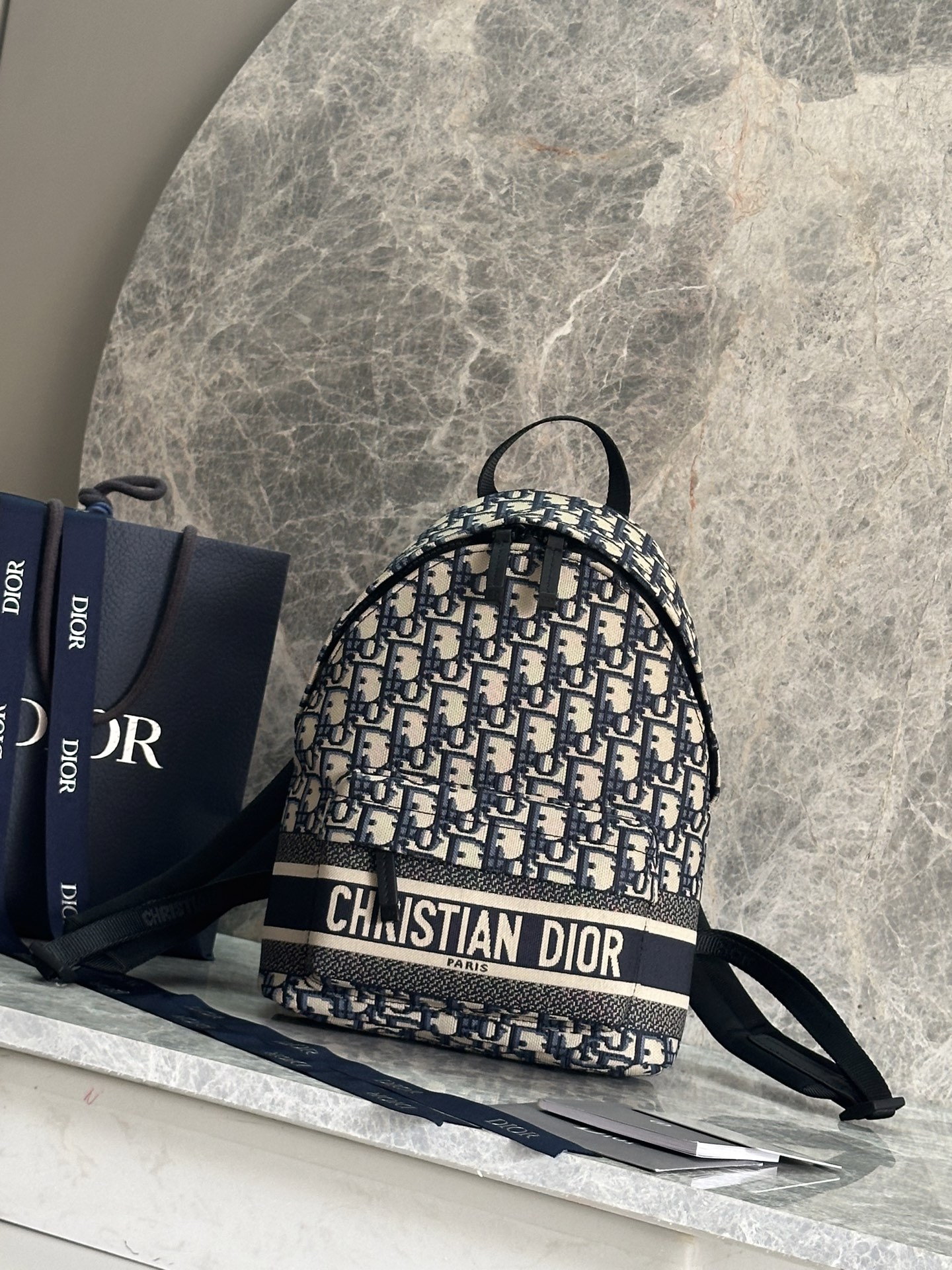 Dior Travel Mini Backpack, Canvas, Logo, Chic & Functional, 21.5*13*31.5cm 2 i1758609992537 4923 0 0