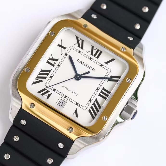Cartier 卡地亚 CARTIER 山度士系列