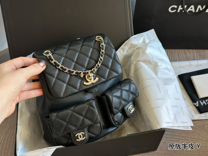 Chanel Duma Frog Backpack: Quilted Leather, Dual Pockets, Chic Design 1 Chanel Duma Frog Backpack: Quilted Leather, Dual Pockets, Chic Design