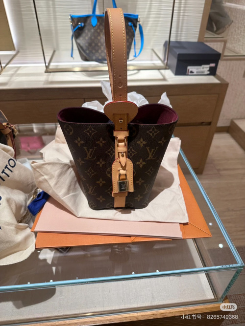 Louis Vuitton Aillin BB Monogram Canvas Bucket Bag with Multiple Carry Options 1 Louis Vuitton Aillin BB Monogram Canvas Bucket Bag with Multiple Carry Options
