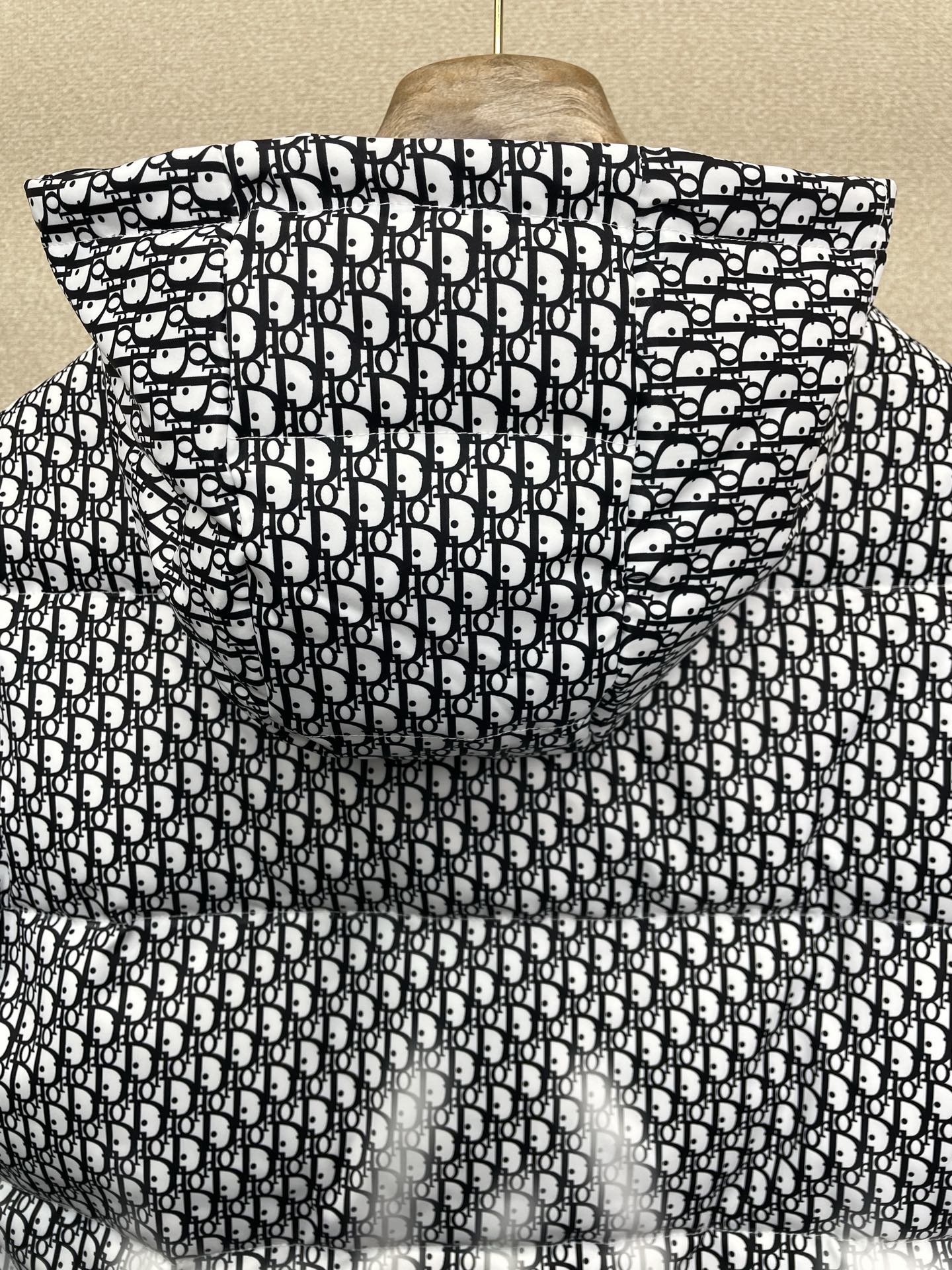 。羽绒服- Dior迪奥💥砸锅卖铁都要上的新款！最新时尚秋冬羽绒服。经典设计感与颜值爆棚的外套，品质更是