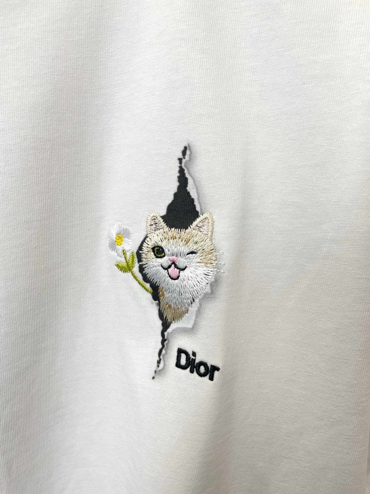 。Dior迪奥💥砸锅卖铁都要上的新款新款原单男士休闲短袖 高端定制 高端版本 时尚百搭爆款⚠️⚠️✨✨进