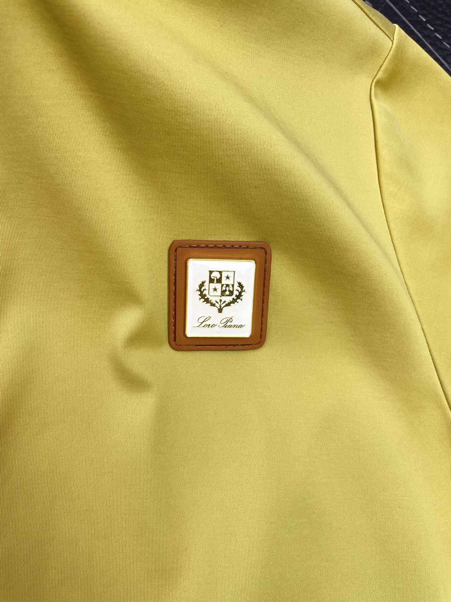 。Loro Piana-Loro Piana诺悠翩雅💥砸锅卖铁都要上的新款新款原单男士休闲短袖 高端定制
