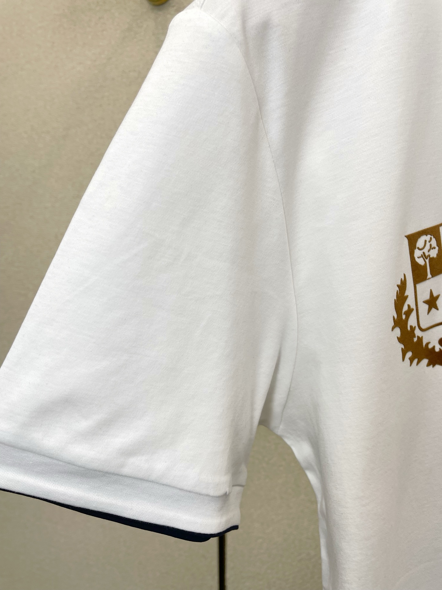 。Loro Piana-Loro Piana诺悠翩雅💥砸锅卖铁都要上的新款新款原单男士休闲短袖 高端定制