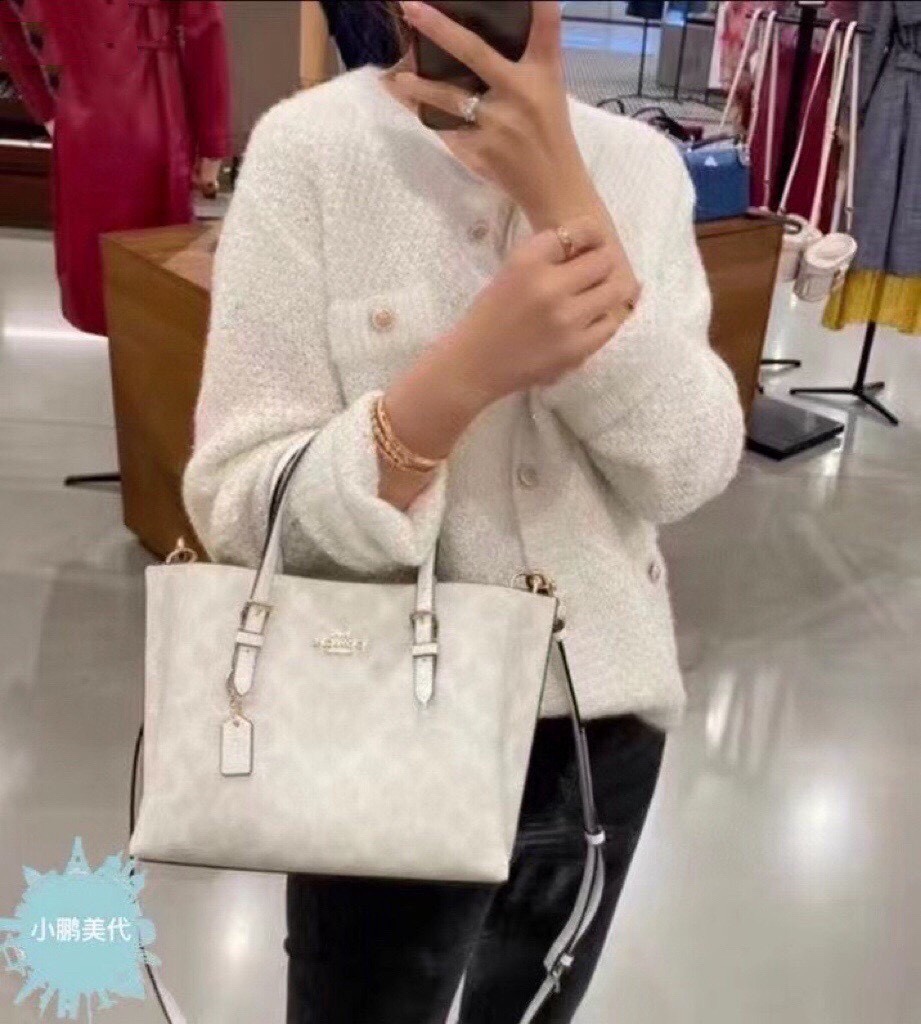 Coach Small Tote Bag - Comprehensive 2