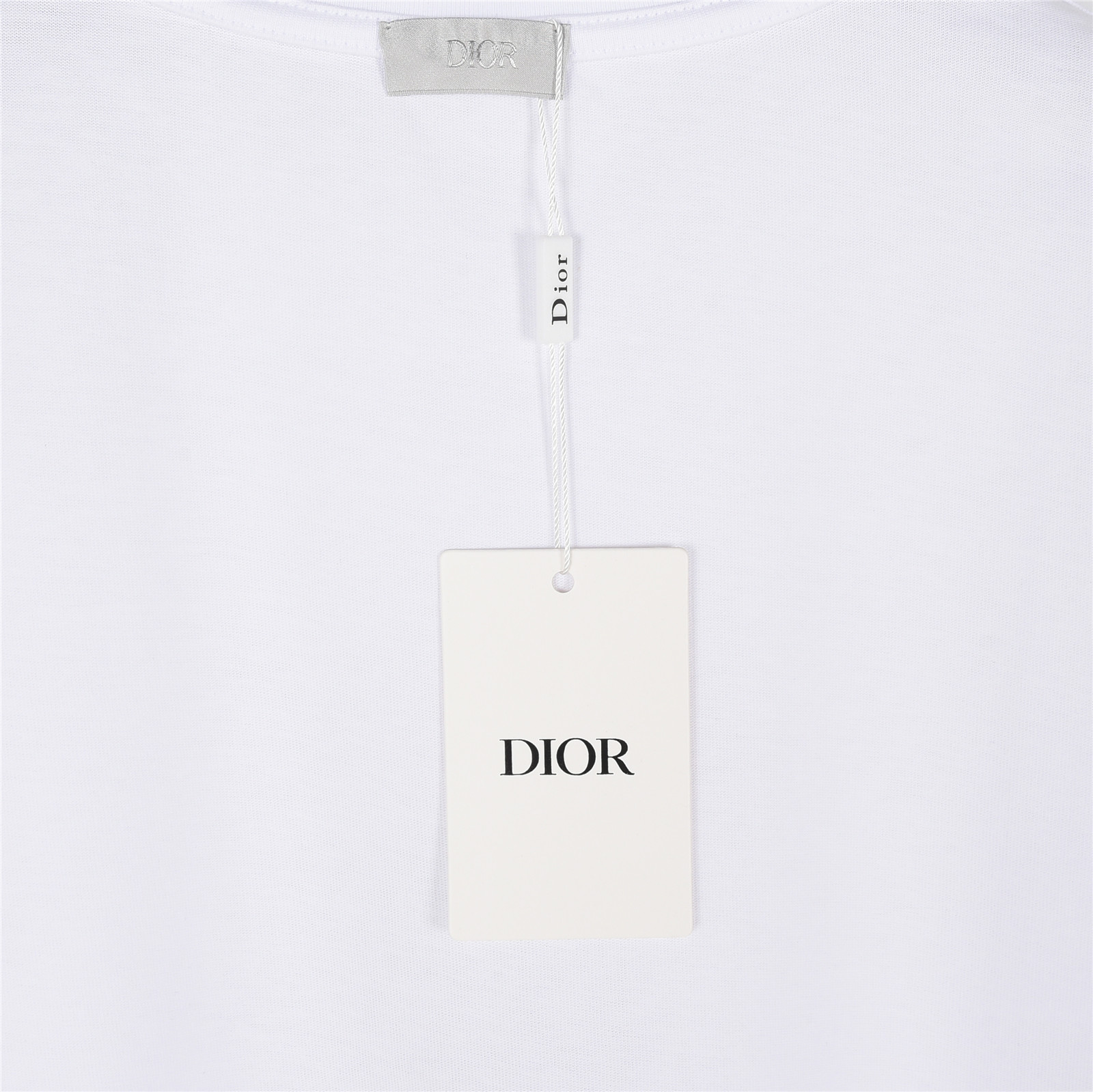 DIOR 迪奥2025蛇年限定灵蛇出动印花短袖T恤
