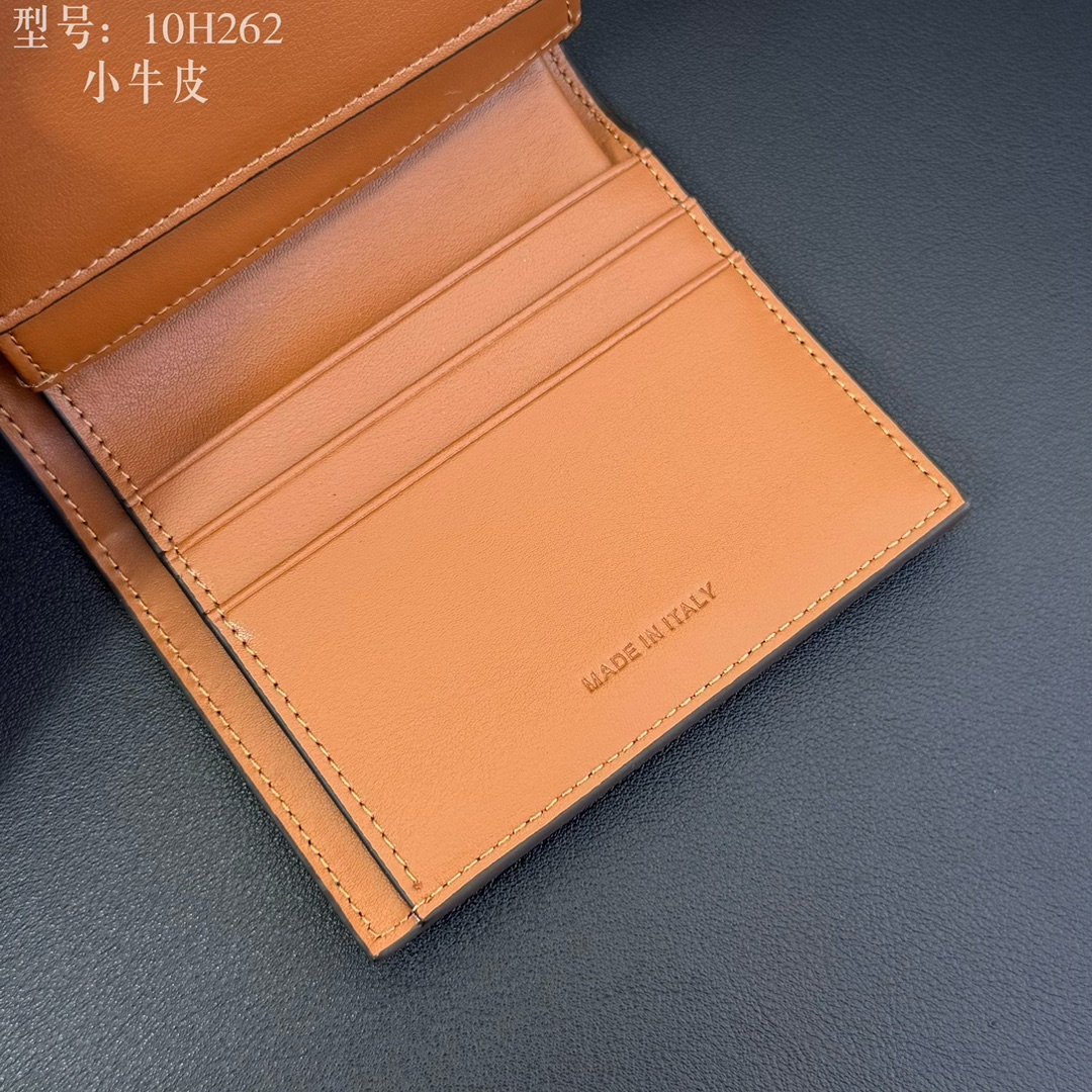 Celine Luxury Handbag Collection 6