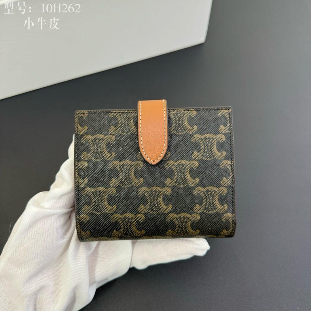 Celine Luxury Handbag Collection 4