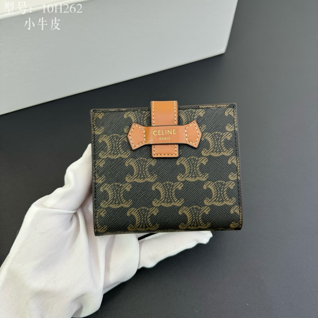 Celine Luxury Handbag Collection 3