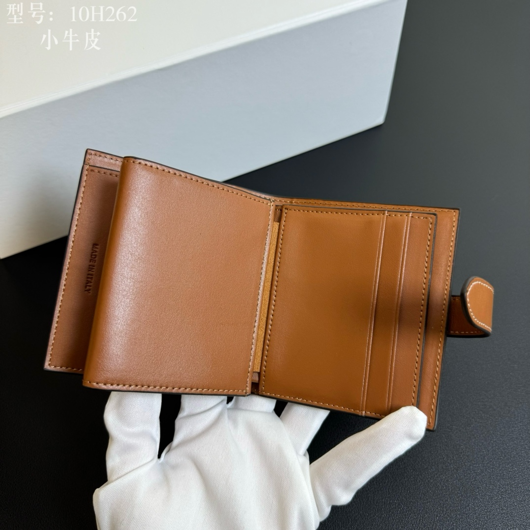 Celine Luxury Handbag Collection 8