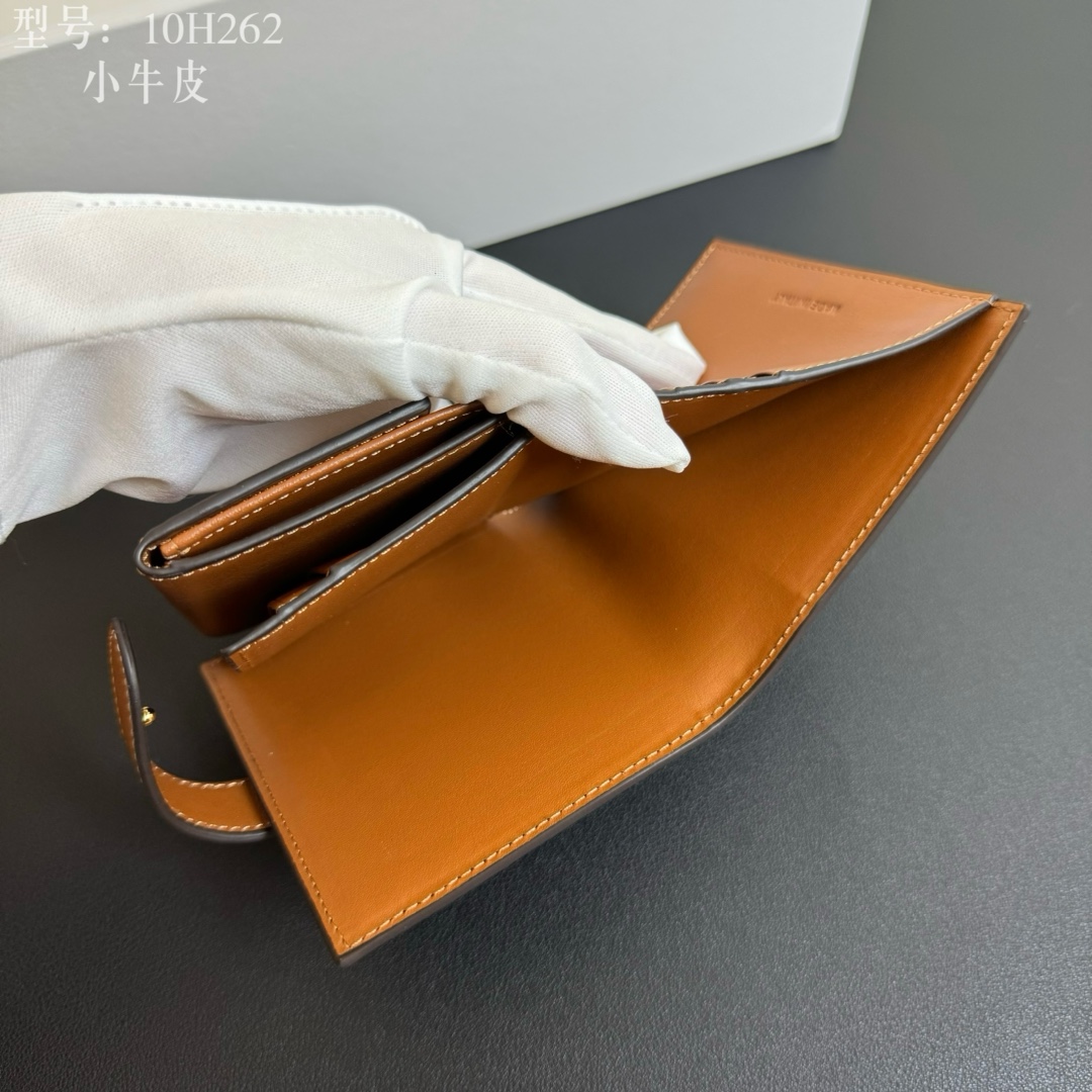 Celine Luxury Handbag Collection 9
