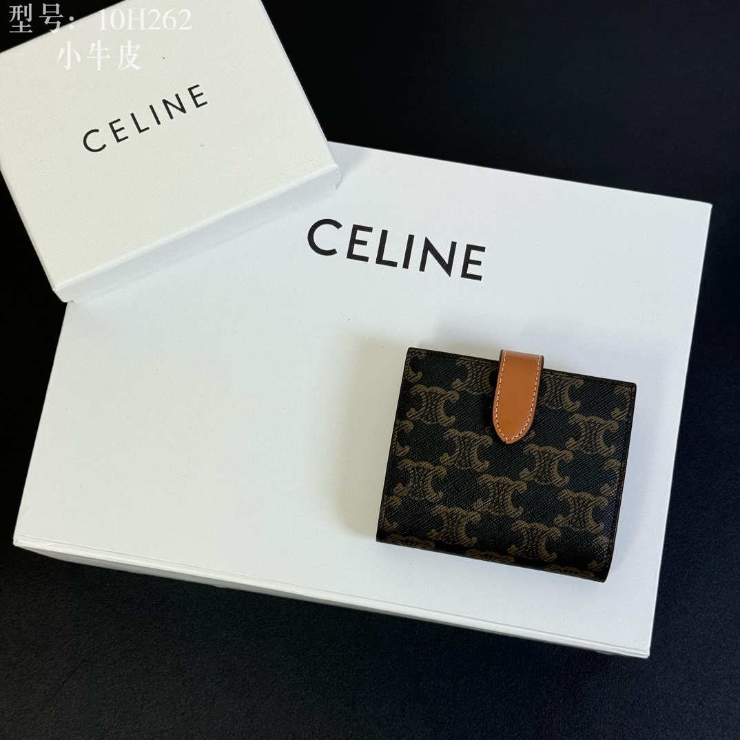 Celine Luxury Handbag Collection 2