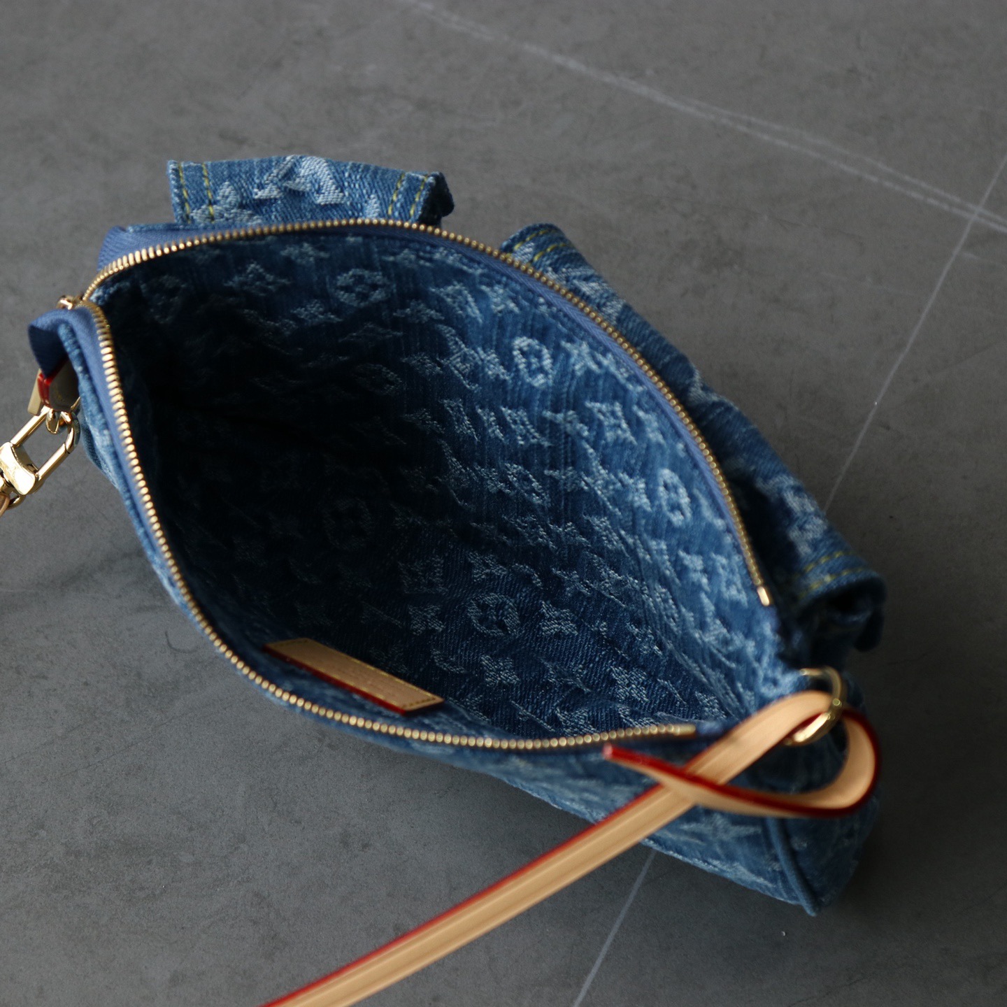 Louis Vuitton everyday
