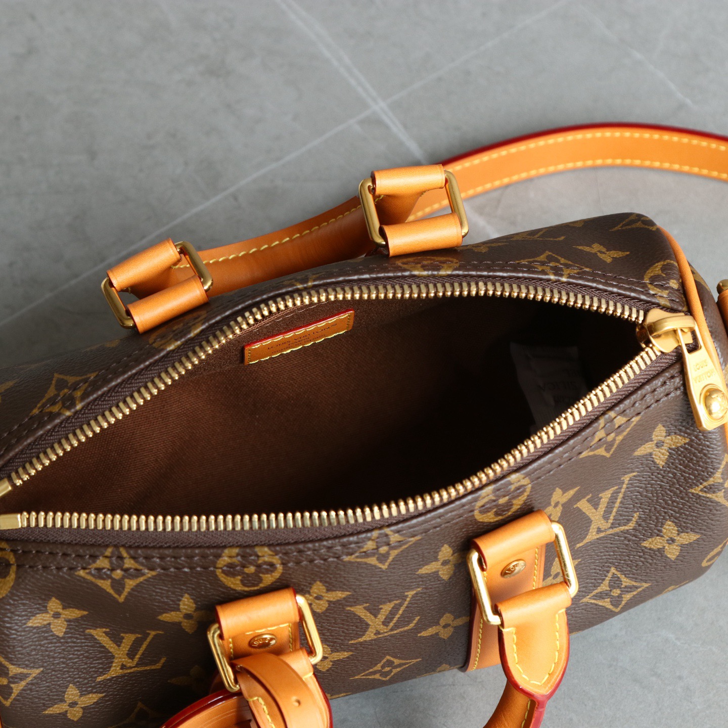 Louis Vuitton everyday