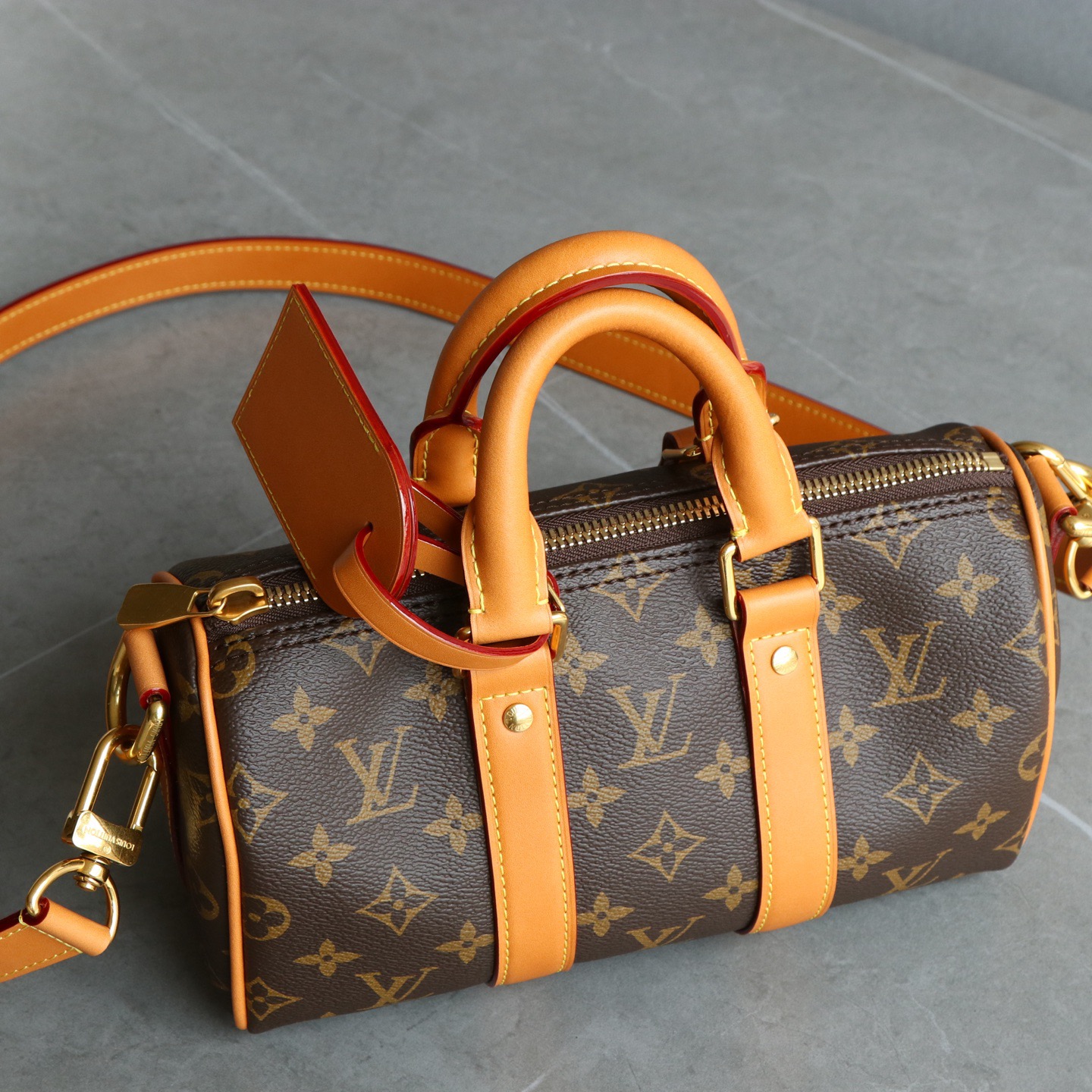 Louis Vuitton everyday