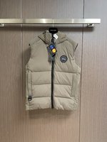 Canada Goose Replicas
 Clothing Waistcoat Fall/Winter Collection Hooded Top
