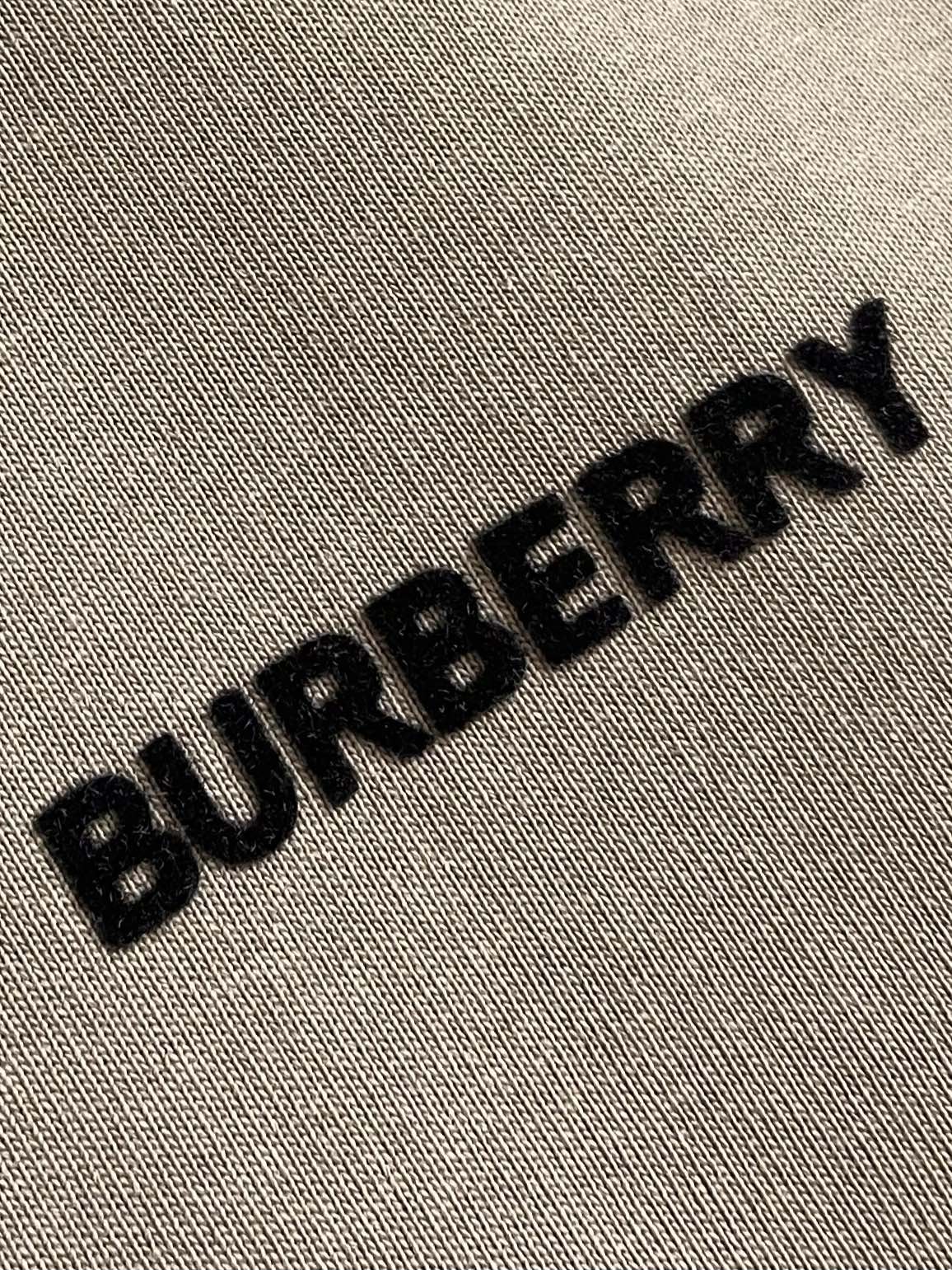 Burberry岩石灰涂鸦战马棉质圆领短袖t恤24早秋限定新款情侣款os宽松tee时尚英伦风格的百搭单品