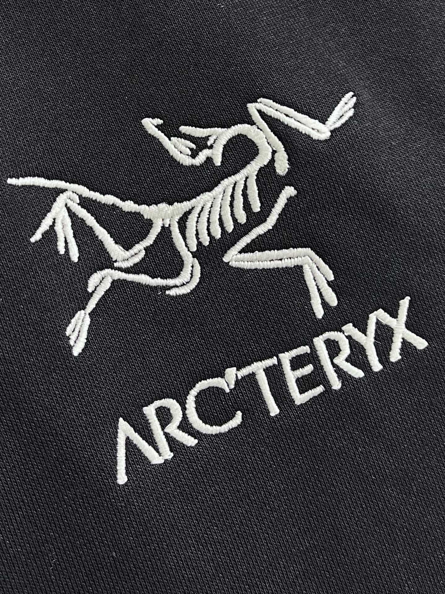 Arctertx始祖鸟LOGO刺绣小标识圆领卫衣对色定染面料搭配标识图案上身效果宽松休闲三标齐全男女同款