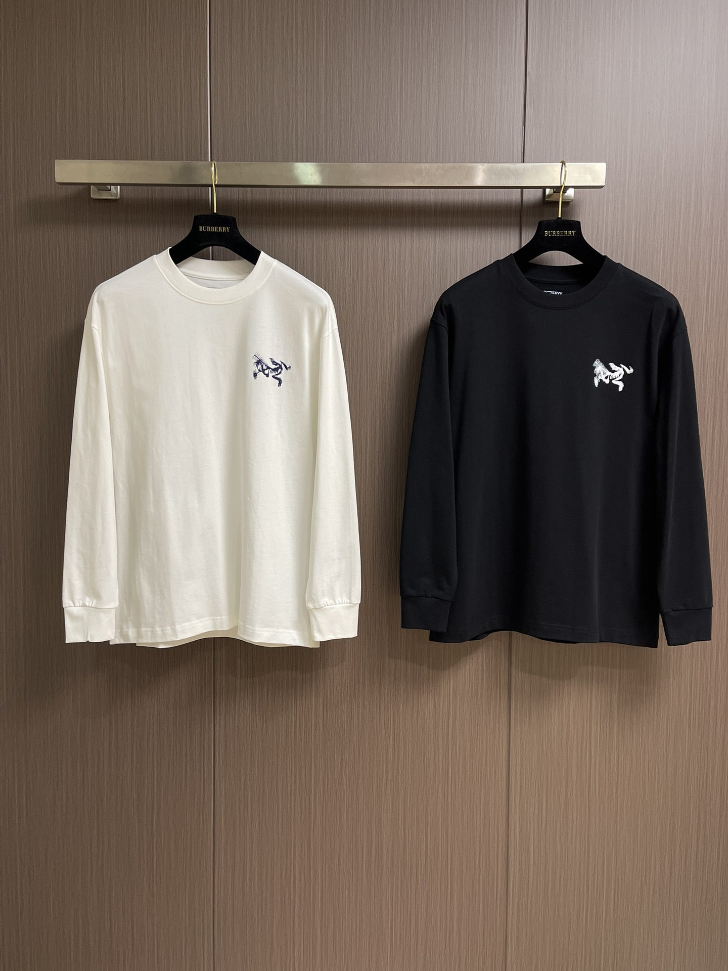 ARCTERYC 始祖鸟 2025FW早秋新款长袖T恤，必不可少的打底长袖衫，这就是你衣柜缺的那件，舒服