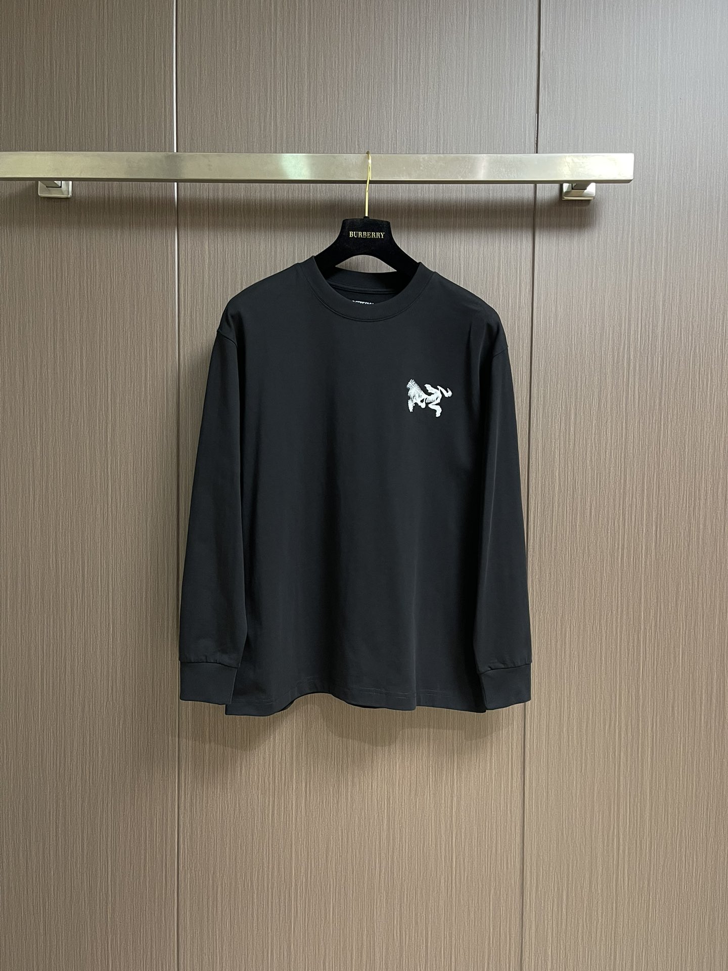 ARCTERYC 始祖鸟 2025FW早秋新款长袖T恤，必不可少的打底长袖衫，这就是你衣柜缺的那件，舒服