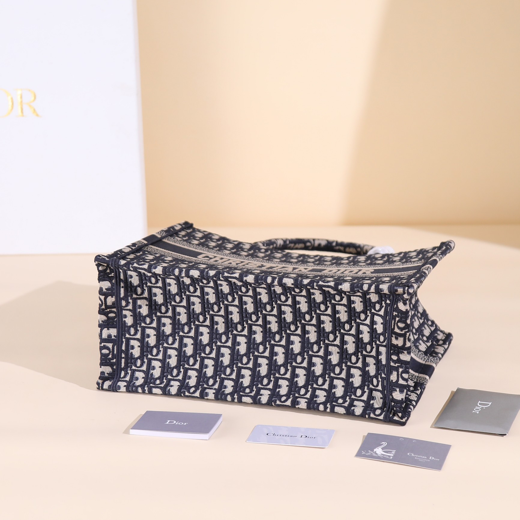 590 这款 Book Tote 手袋由 Dior 女装 M1296